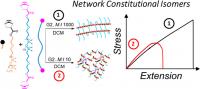 Network Constitutional Isomers image